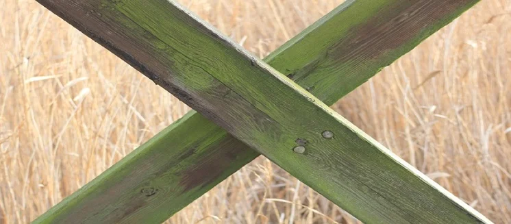 houten tuinmeubelen groene aanslag verwijderen